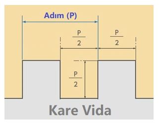 kare-vida