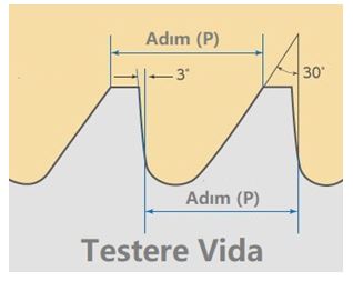 testere-vida