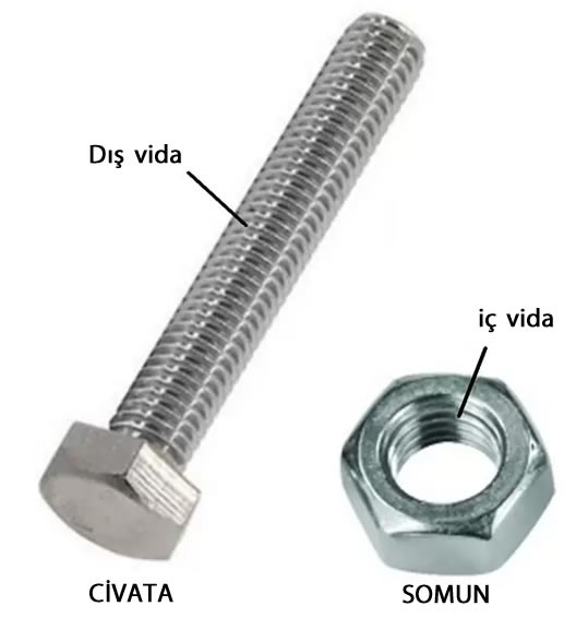 vida